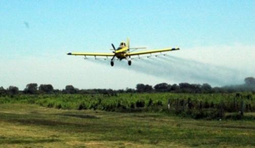 Vía aérea aplican fungicida a cultivos de Maíz